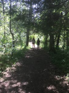 the wild and wonderful Heritage trail