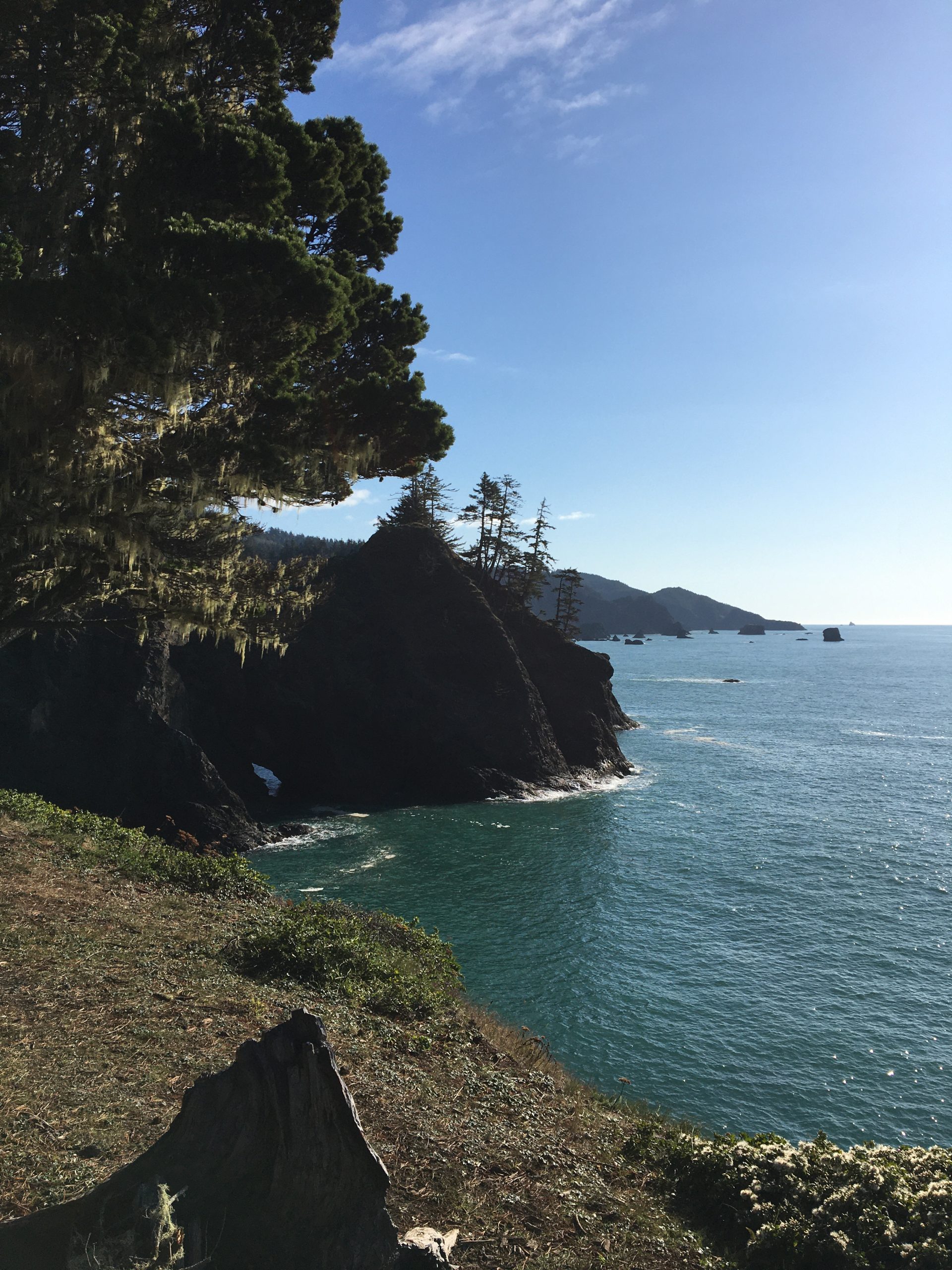 Pacific Coast Highway - Oregon