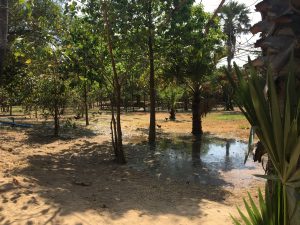 The Killing Fields, Phnom Penh