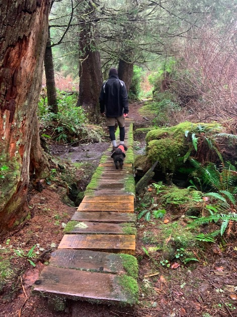 Port renfrew shop hiking trails