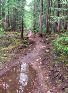 the trail at Halfway Hot Springs