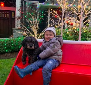 Cuteness overload at Christmas