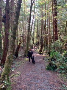 San Josef Bay hike