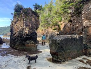 San Josef Bay in Cape Scott Provincial Park