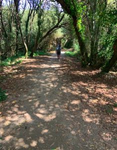 Portuguese Camino Day 5