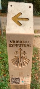 choosing the Spiritual Variant