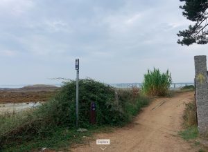 I've reached the sea again