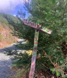 Big Lonely Doug Trailhead