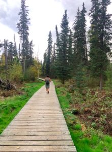 Boardwalk to Liard Hot springs