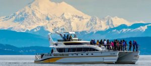 Eagle Wings Tour Company