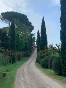 Via Francigena - Pont d'Arbia to Torrenier