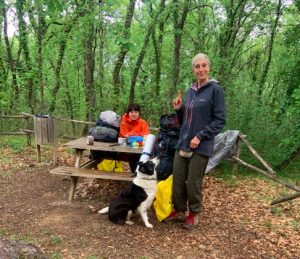 Via Francigena - camping with a dog in the vineyards